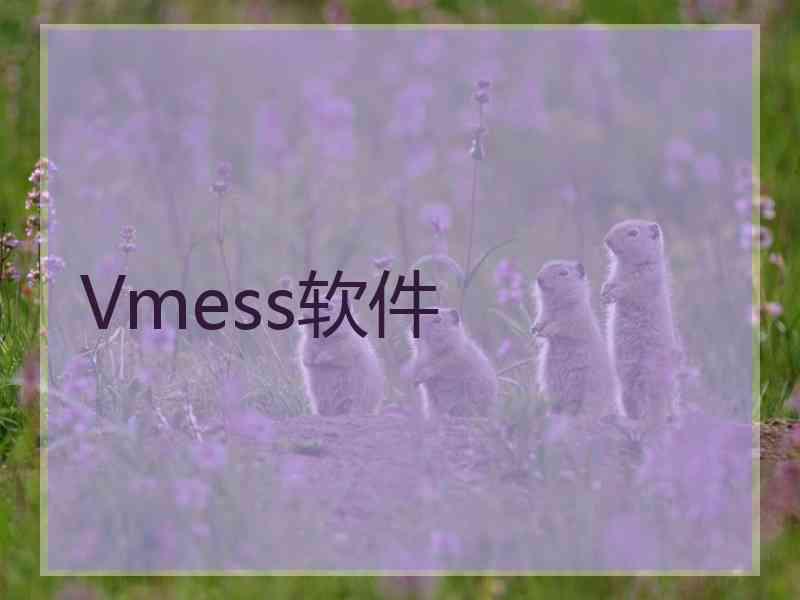 Vmess软件