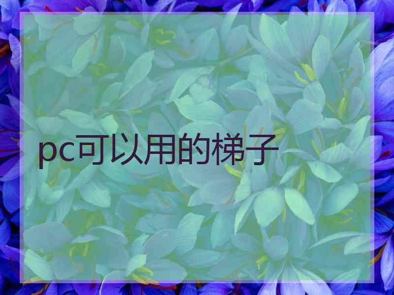 pc可以用的梯子