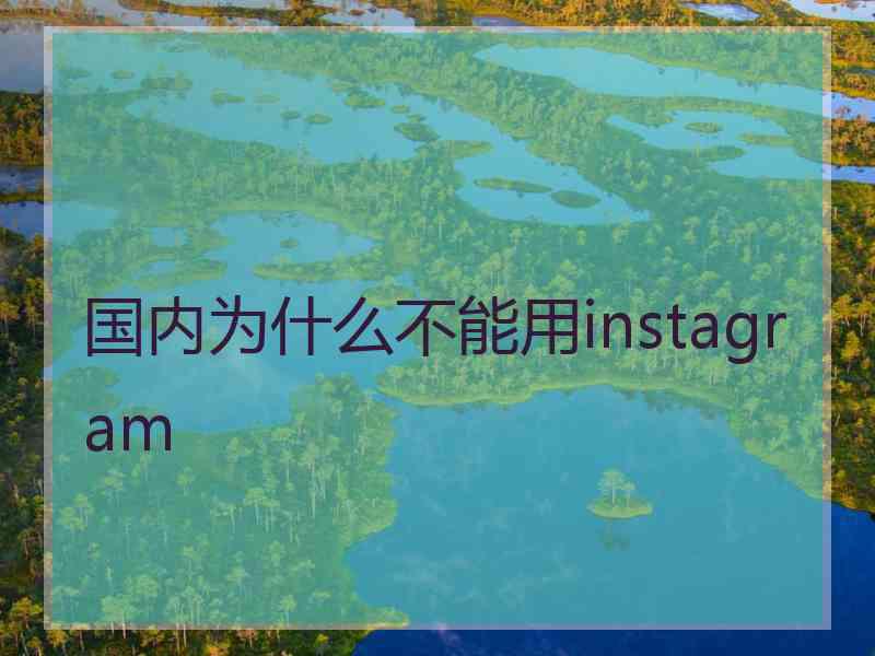 国内为什么不能用instagram