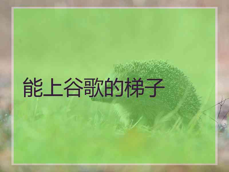 能上谷歌的梯子