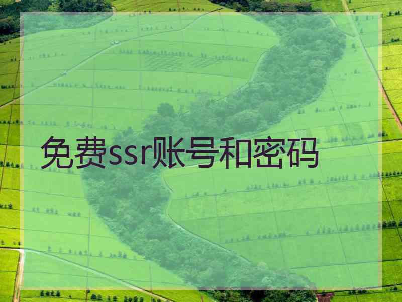 免费ssr账号和密码
