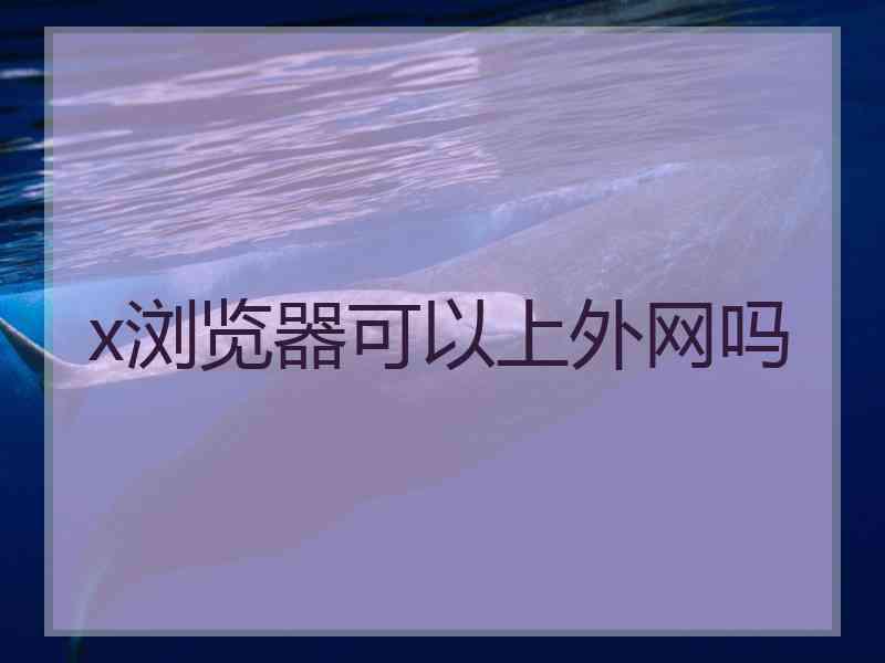 x浏览器可以上外网吗