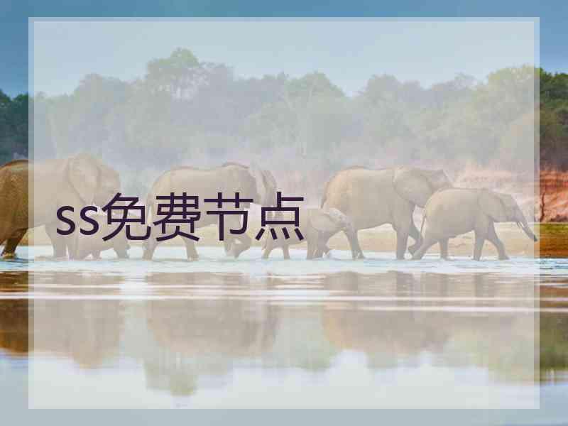 ss免费节点