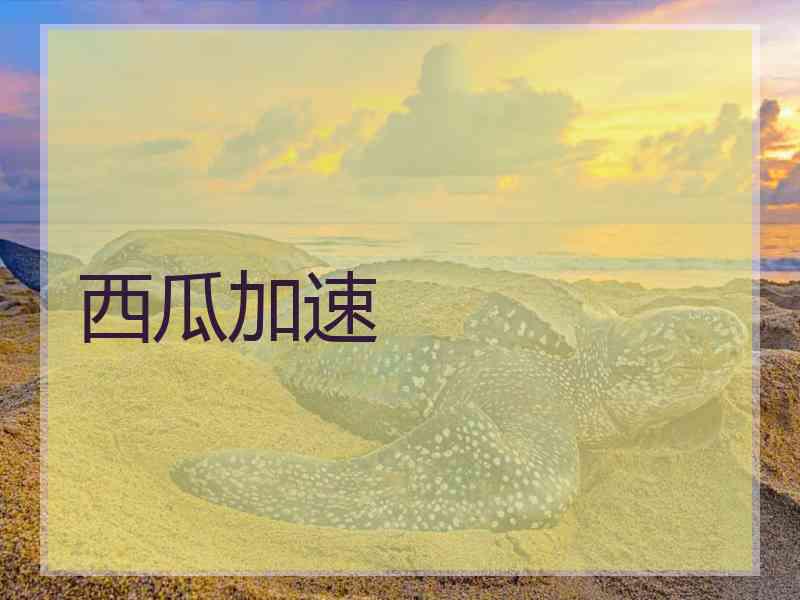 西瓜加速