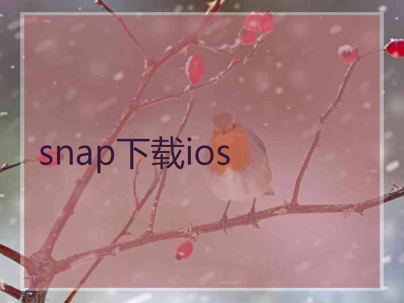 snap下载ios