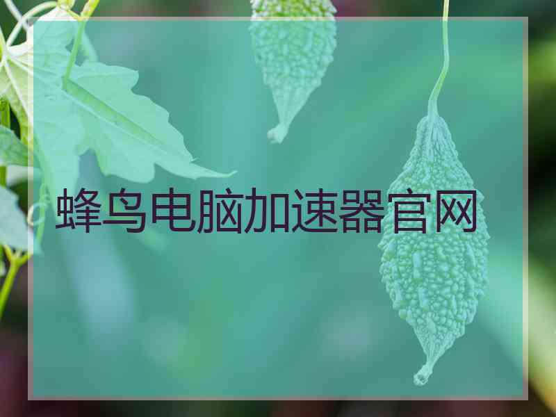 蜂鸟电脑加速器官网