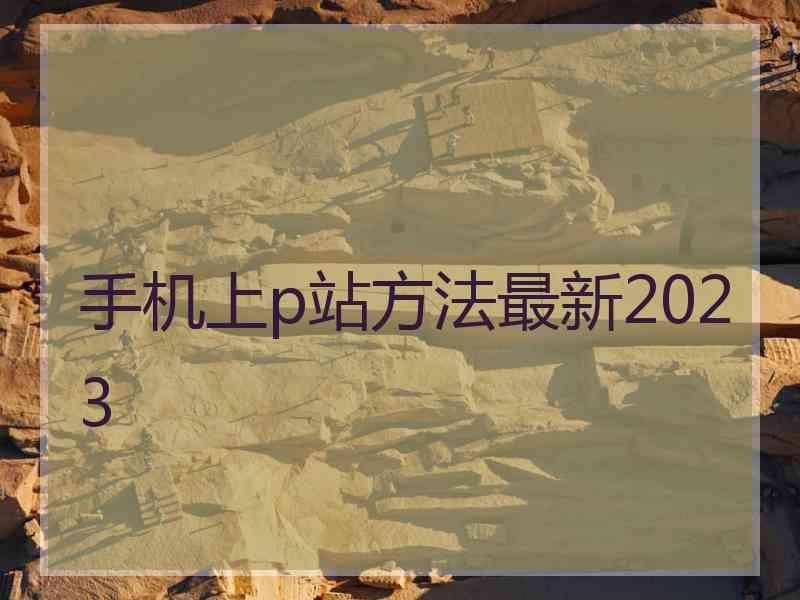 手机上p站方法最新2023