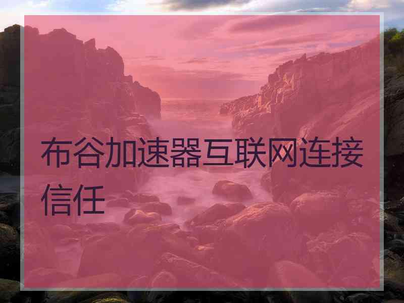 布谷加速器互联网连接信任
