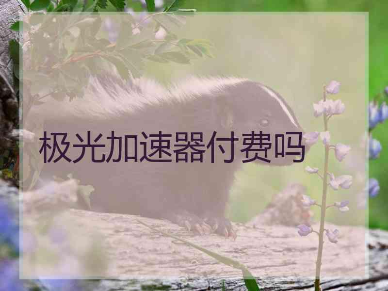 极光加速器付费吗