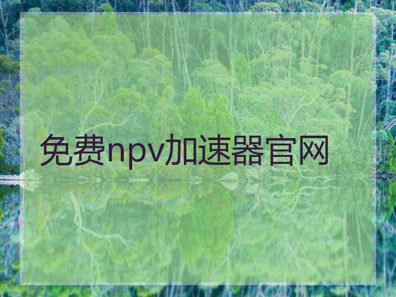 免费npv加速器官网