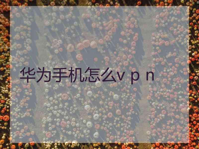 华为手机怎么v p n