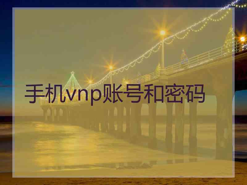 手机vnp账号和密码