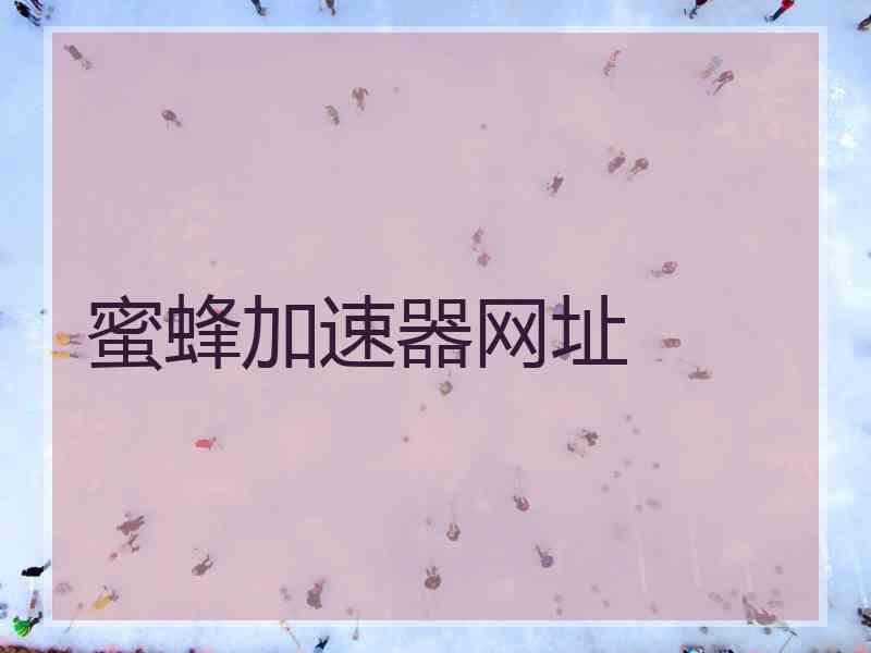 蜜蜂加速器网址