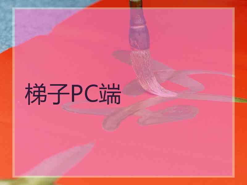 梯子PC端