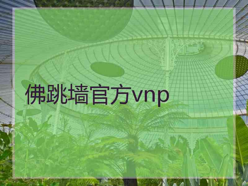 佛跳墙官方vnp