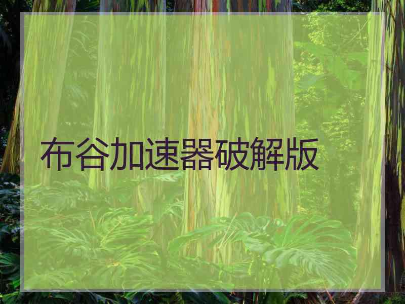 布谷加速器破解版