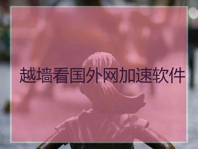 越墙看国外网加速软件