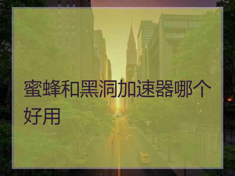 蜜蜂和黑洞加速器哪个好用