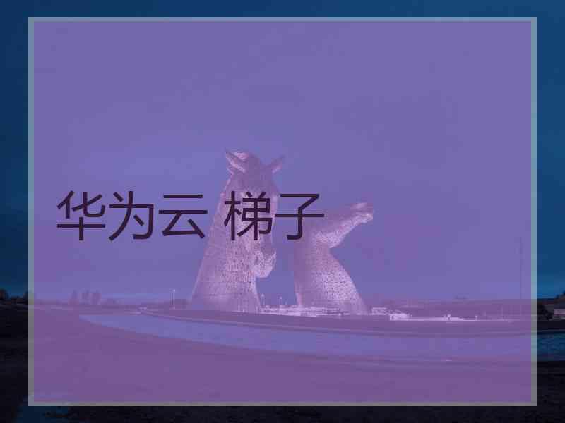 华为云 梯子